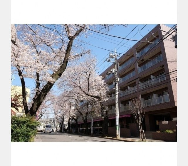 コンフォリアたまプラーザの外観