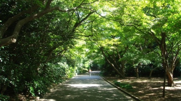 ライオンズマンション市谷薬王寺の周辺|新宿御苑