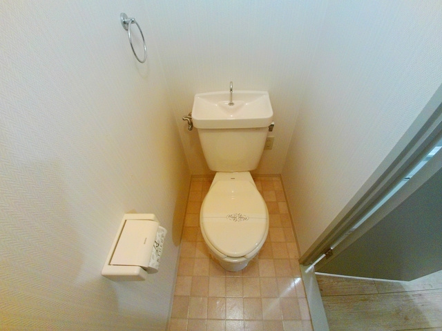 グリーンハイツ山水Ｃ棟のトイレ