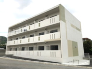 シャインの画像