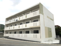 シャインの画像