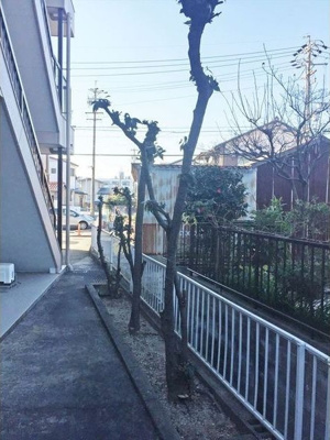 【その他共用部分】 | ベルシェ幸