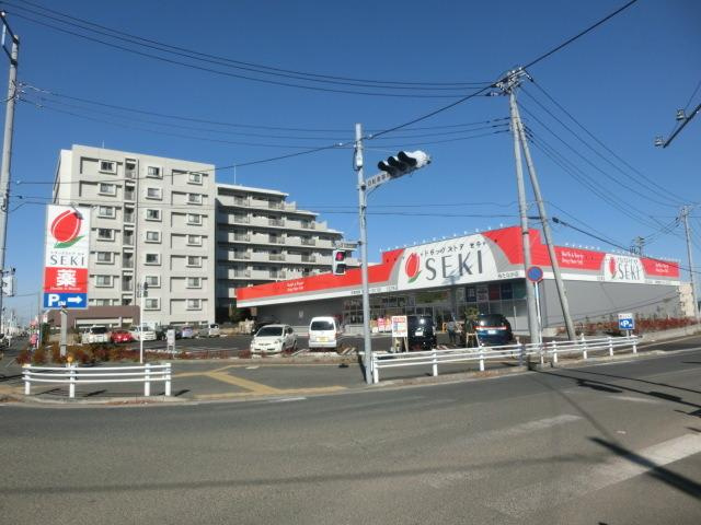 レオパレスプレジャーの周辺