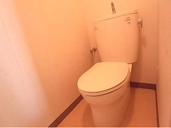 南薫ハイツ【キャッシュバック対象物件】のトイレ|同物件の別部屋の写真です。