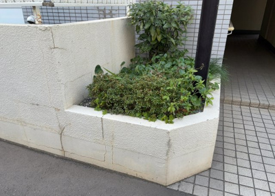 【中庭】 | ホビーバーンズ | 中庭（パティオ）とは、一つの建築物の内部に設けられた、壁などで囲われている庭のことを指します。コの字型、ロの字型が主流ですが、L字型の中庭もあります。最近では、インテリア性の高さからも人気があります。