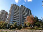 アイランドシティ・照葉テラス　マリナコート２番館の画像