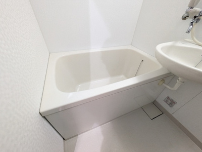 バス