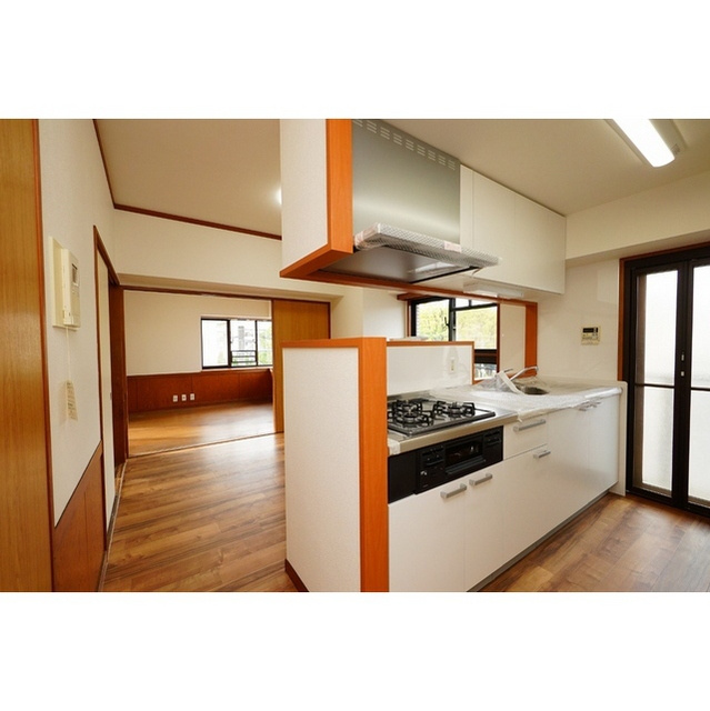 岐阜市田生越町の賃貸マンションのキッチン|システムキッチン