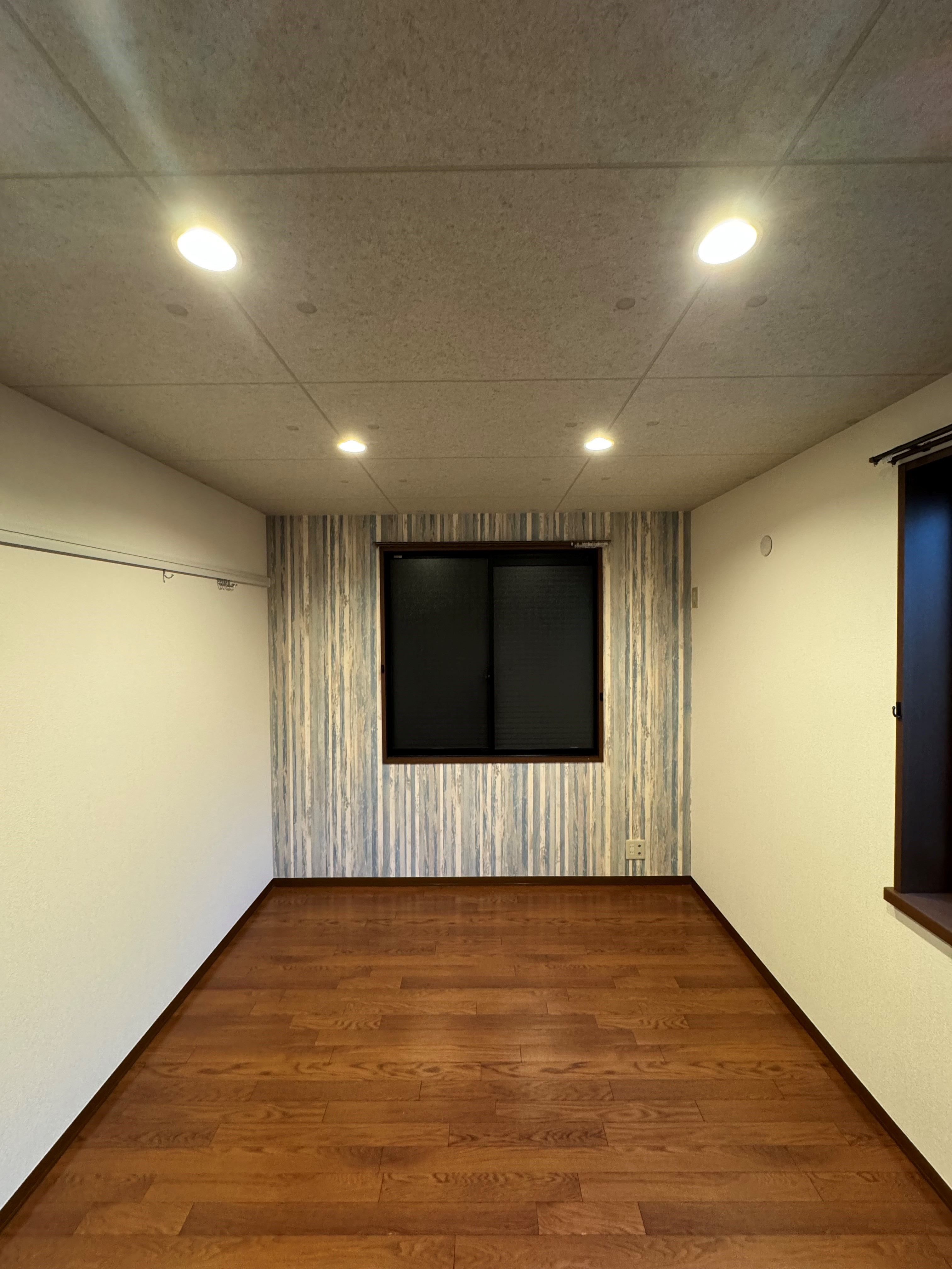CASAⅡ