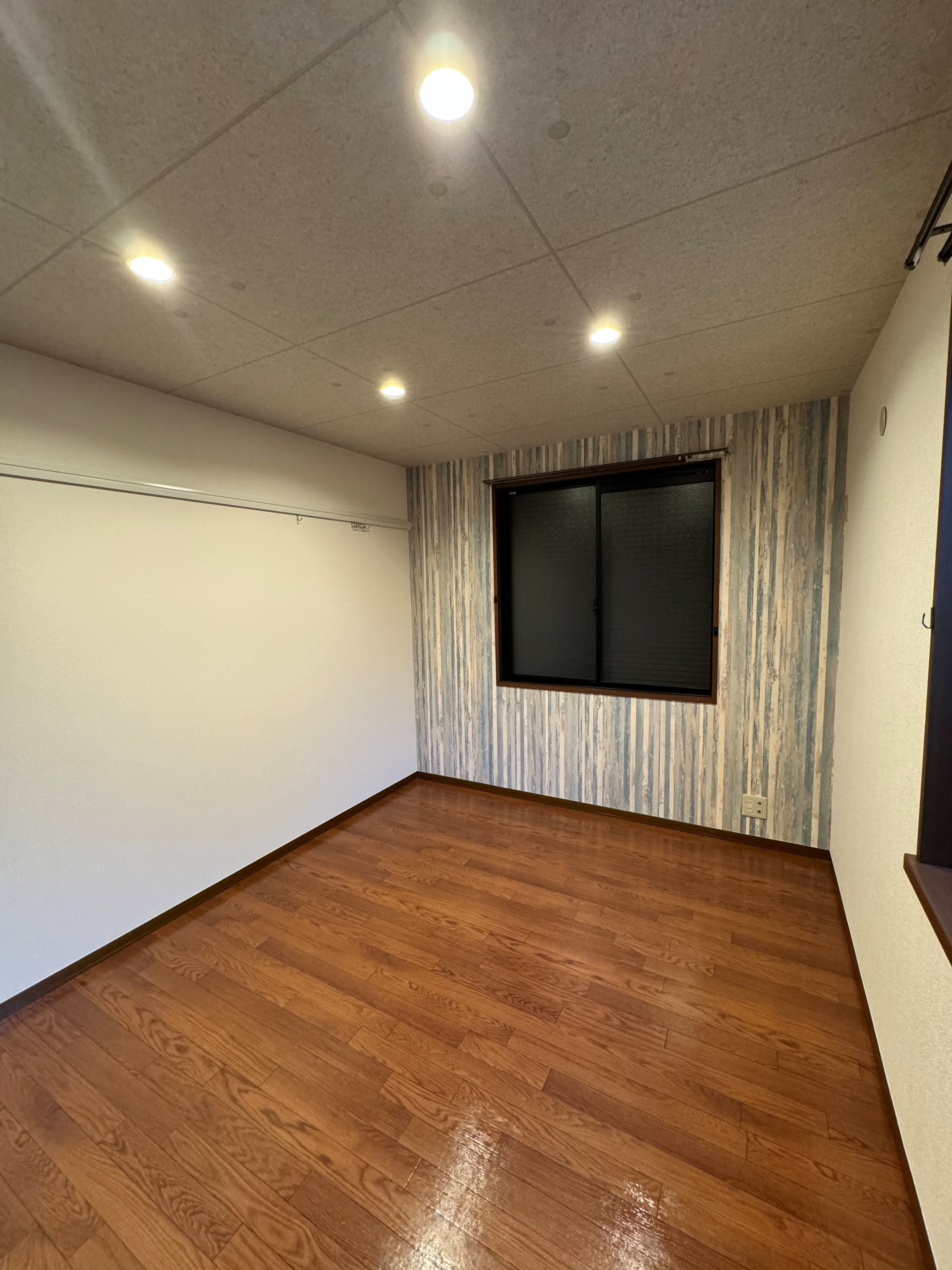 CASAⅡ