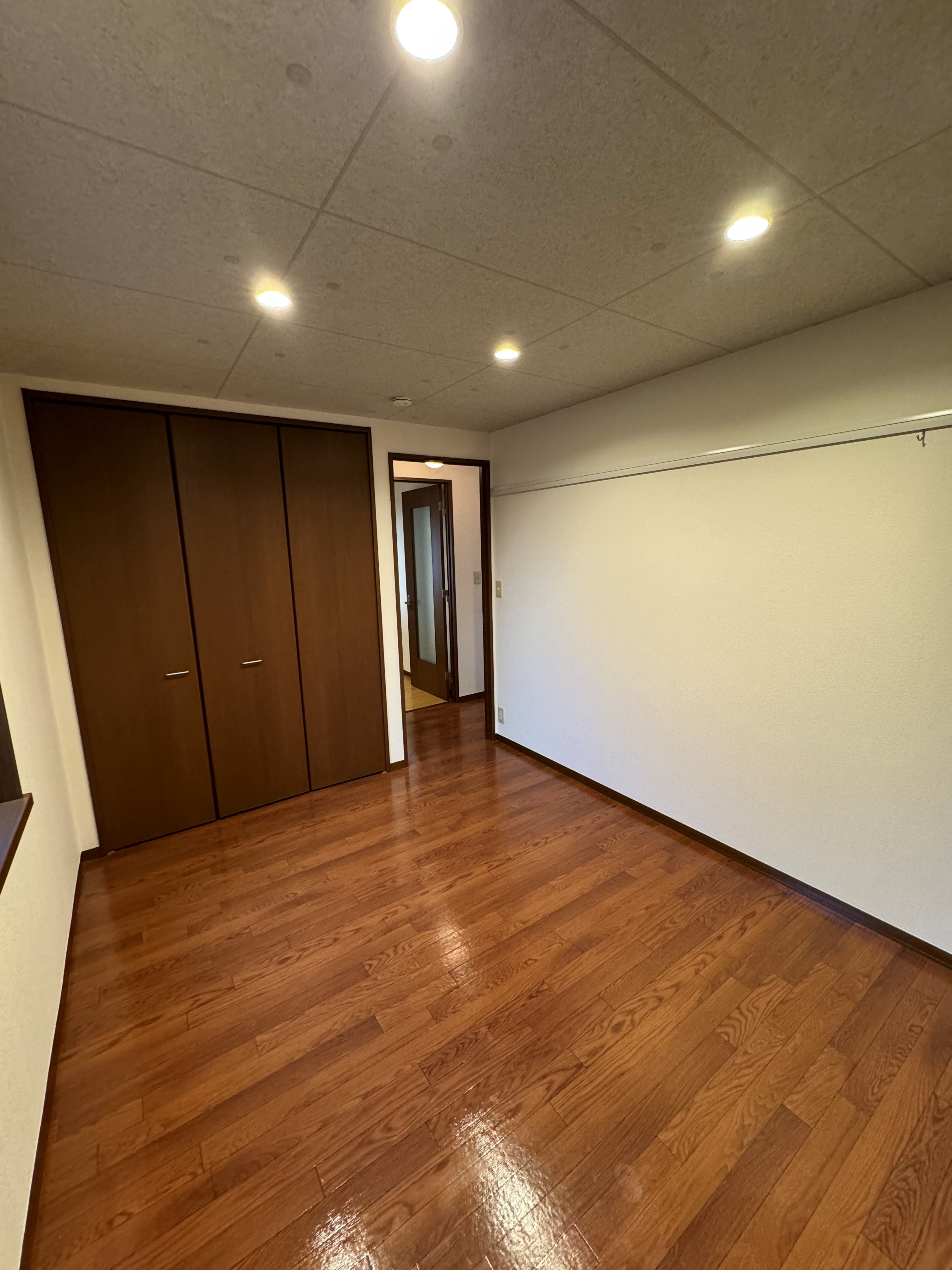 CASAⅡ
