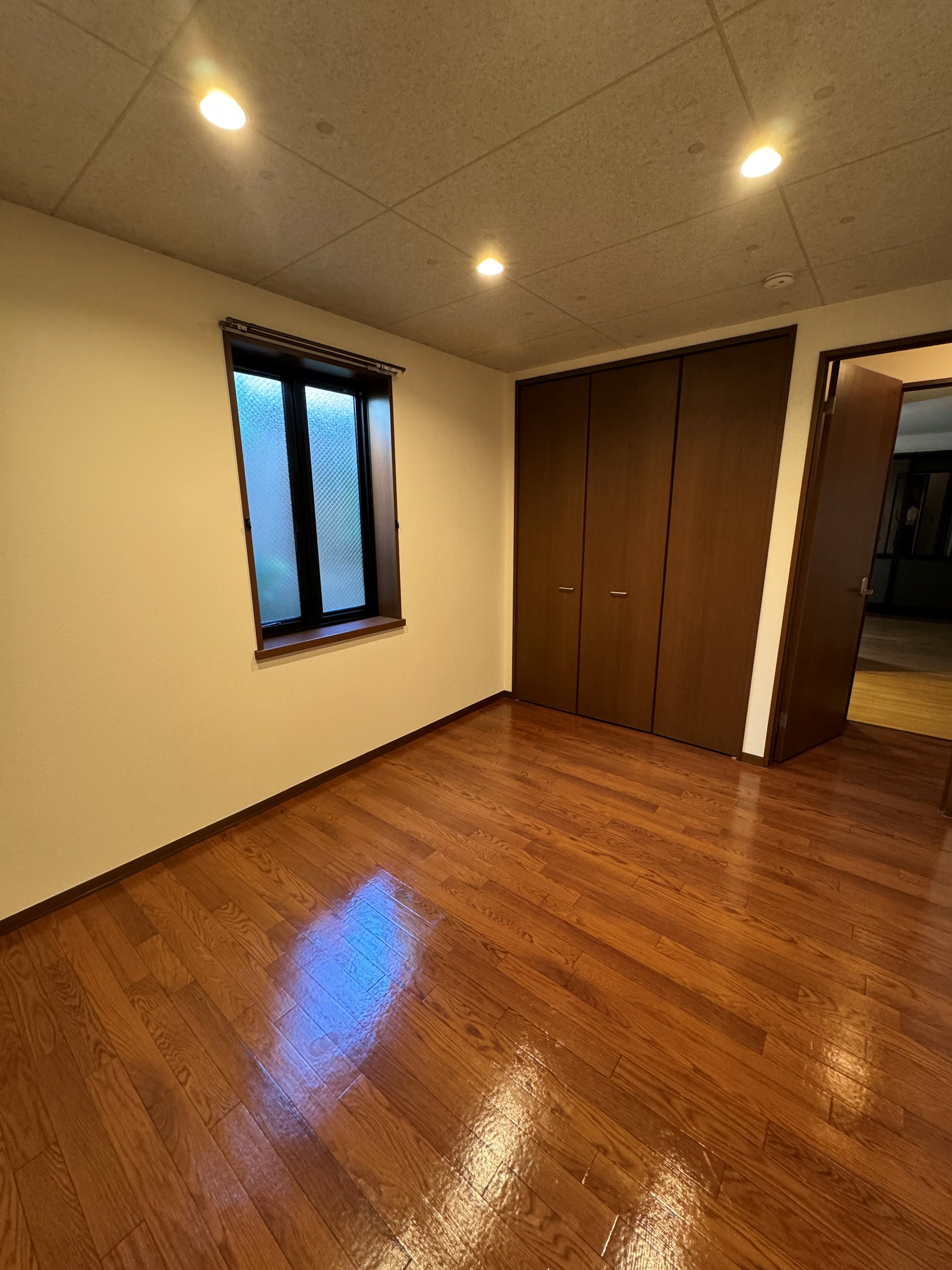 CASAⅡ