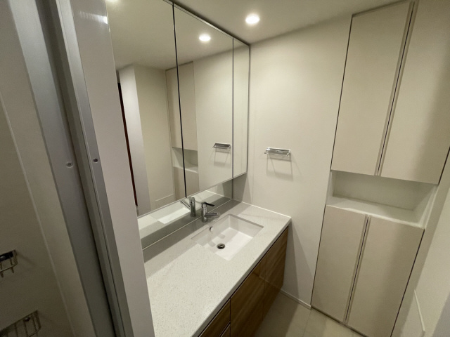 ザ・パークハウス住吉川の洗面所