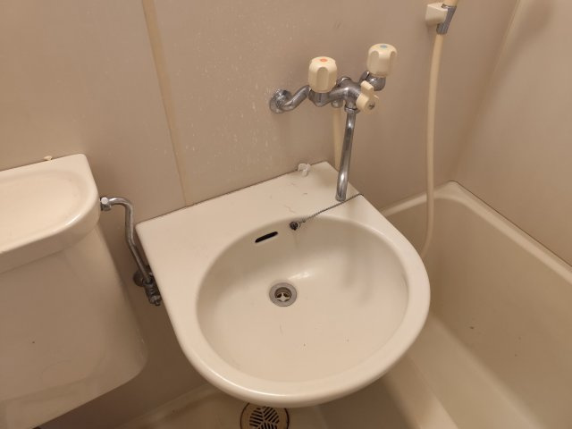 エスポワール新小岩の洗面所