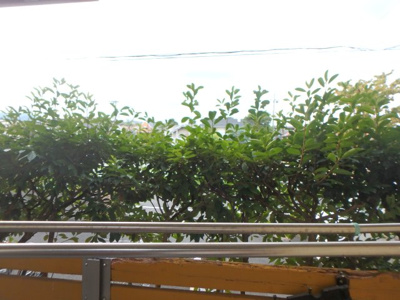 【展望】 | ペアコート仁川 | 眺望