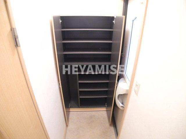 ウィルモアK・Tのその他