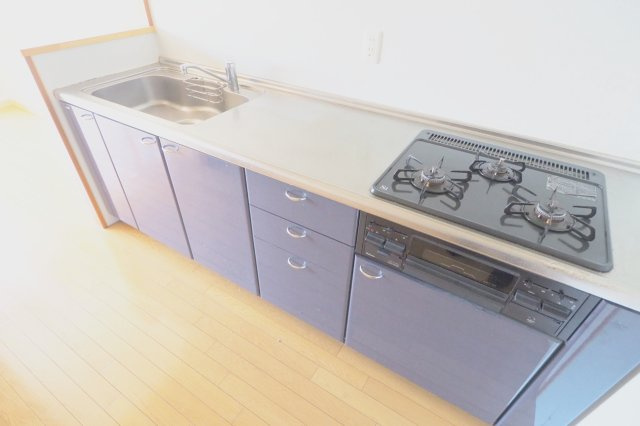 APEX’Ｉのキッチン