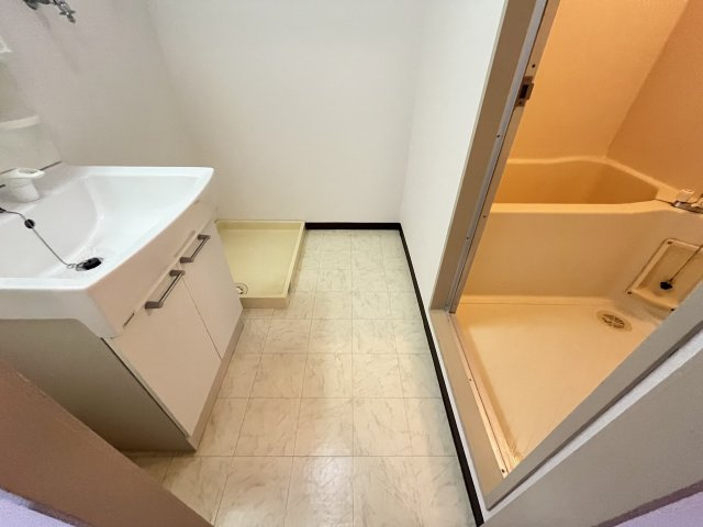 メゾングリフィンの洗面所