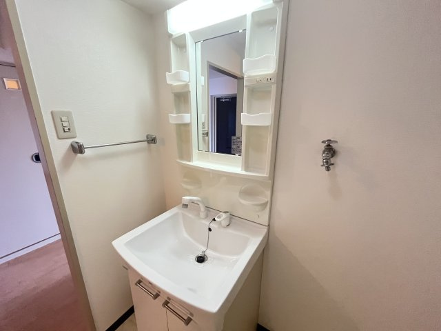 メゾングリフィンの独立洗面台