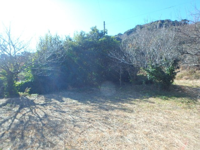 S1705G　白浜土地の外観