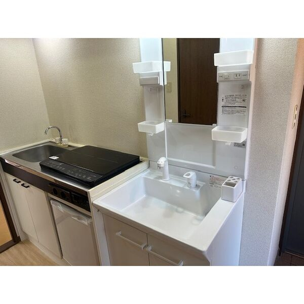 桜マンションIIの洗面所