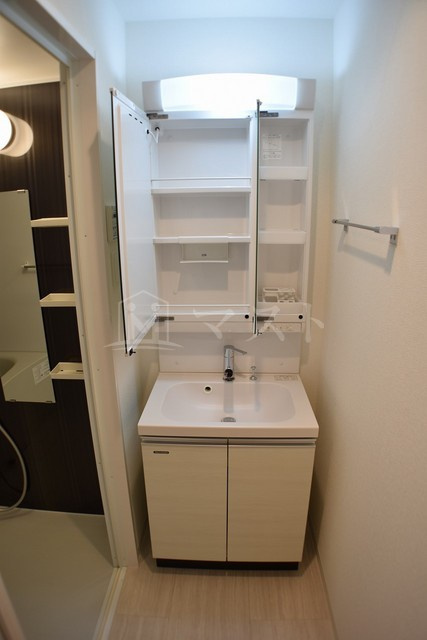 アドバンス大阪城ラディアの洗面所