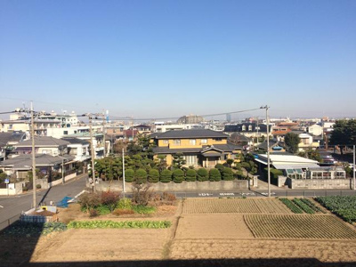 【展望】 | ハーベスト柿の木 | 眺望良好