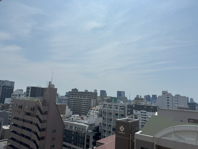 タワーザ上町台の展望