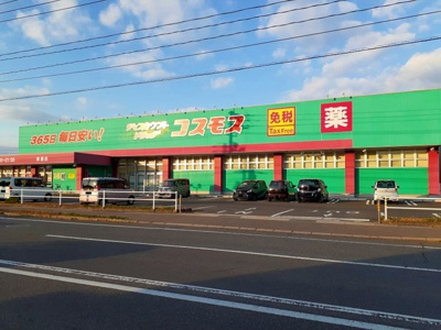 【周辺】 | ラ・フォーレ南丘Ａ | コスモス福山新涯店まで3000m