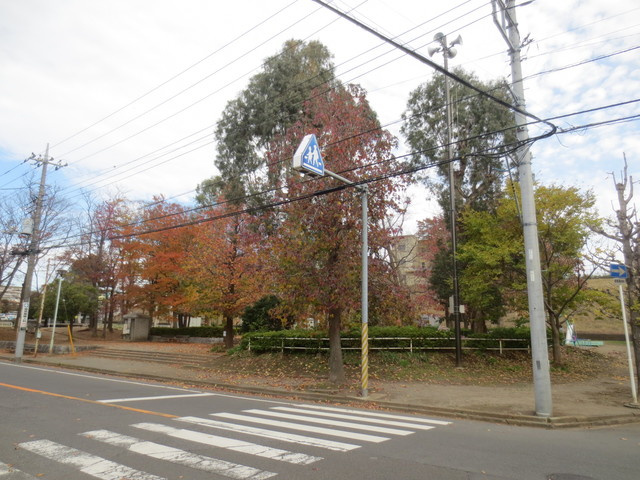 コンフォール常盤平のその他|ぺんぎん公園