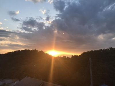 【周辺】 | グリーンヒル西村（グリーンヒルニシムラ）