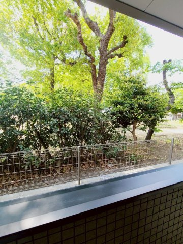 ドエル小松ＳＯＵＴＨの展望