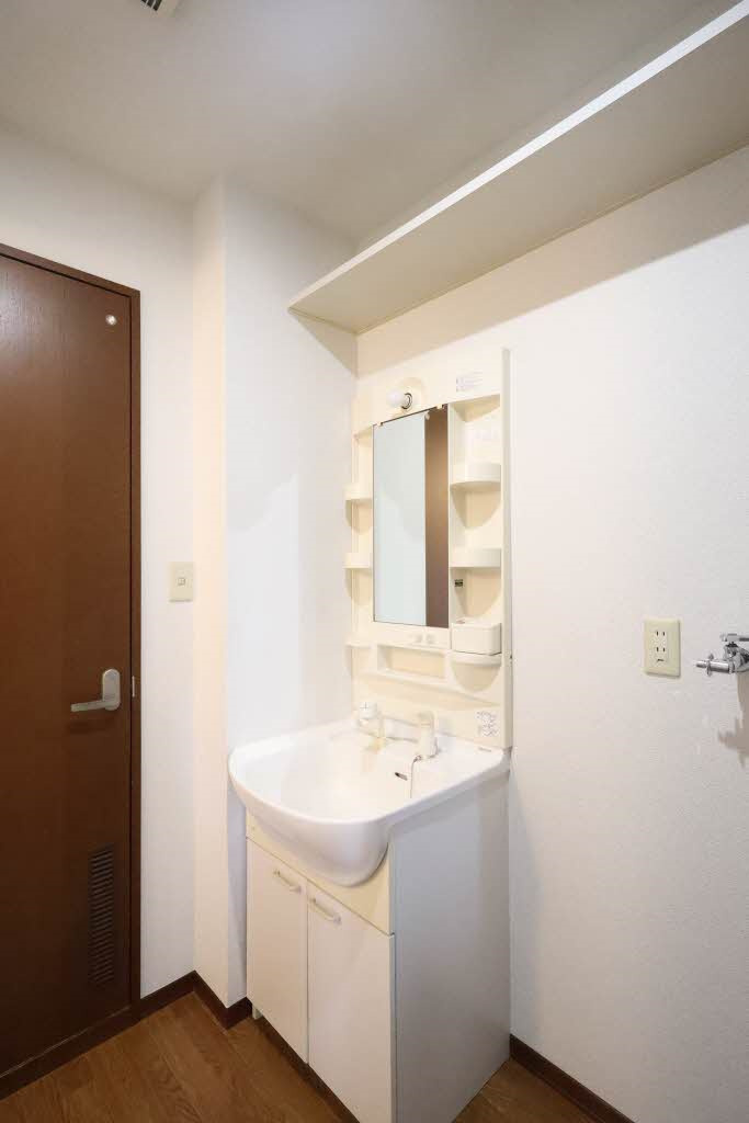 シャルム政畝の洗面所