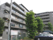 志木北野　(志木本店)の画像