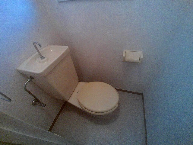 ブリスフタミのトイレ