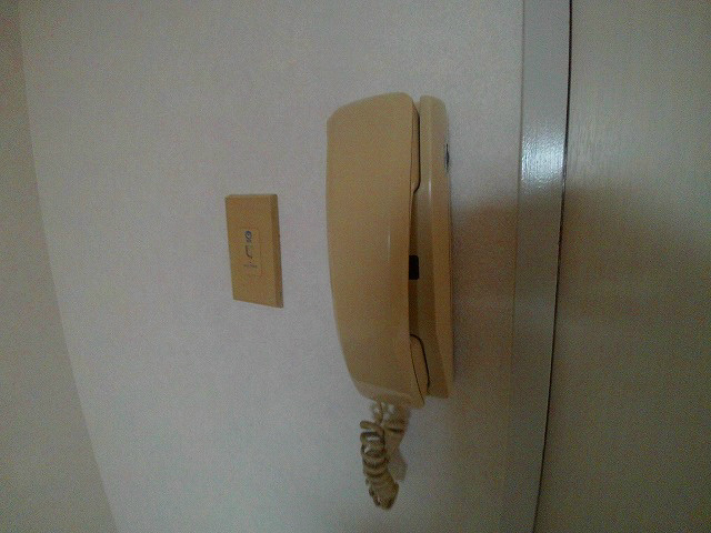 ブリスフタミのセキュリティ