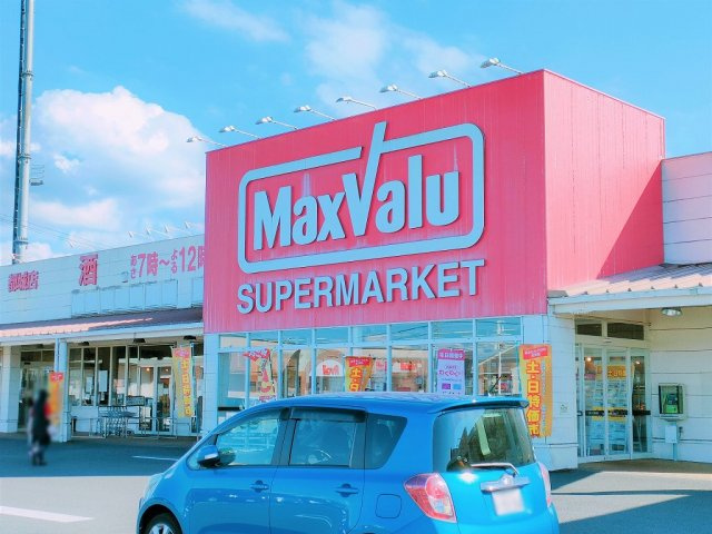 レオパレスネイティブⅤの周辺