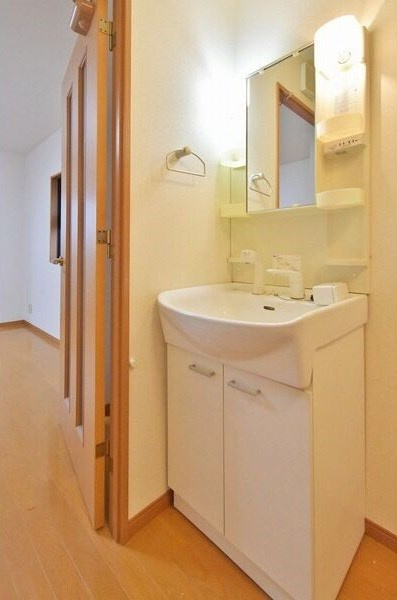 ブランシェ平手南の洗面所