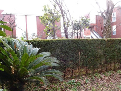 【展望】 | ライブタウン浜田山