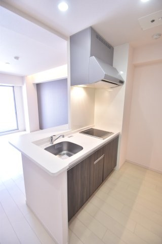 大阪市城東区成育２丁目の賃貸マンションのキッチン