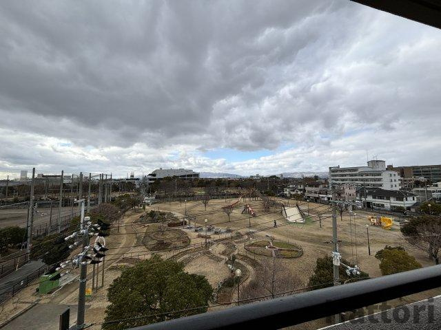 どりーむの展望