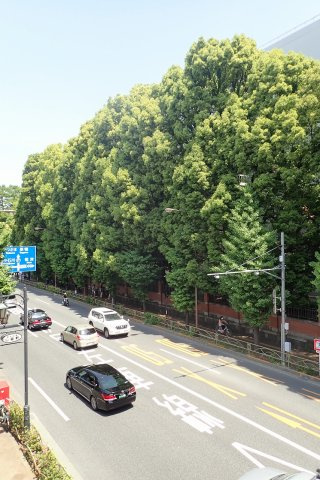 ユノー東大前の展望