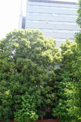 ユノー東大前の展望