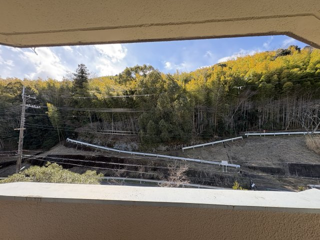 南円明寺ヶ丘団地15棟の展望