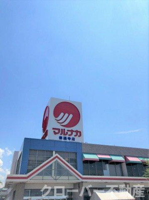 【周辺】 | レオネクストソファレ　Ｆ