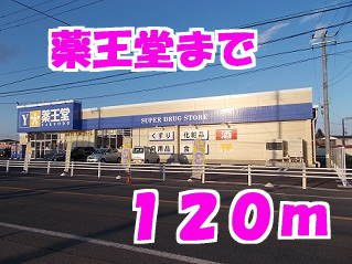 ブライトＭＡＣＨＩＹＡＳＩＫＩの周辺|薬王堂まで120m