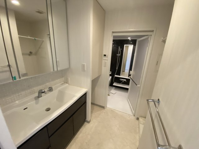 パレ・ロワイヤル田寺東ウエストコートの洗面所