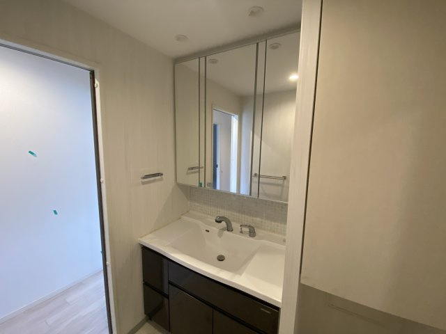 パレ・ロワイヤル田寺東ウエストコートの洗面所