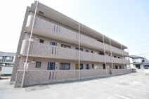 ベイリーフＡの画像