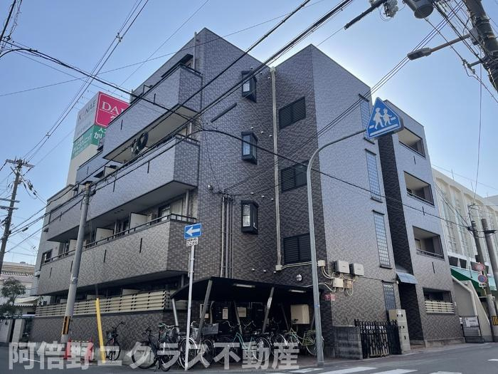 ブルーコート